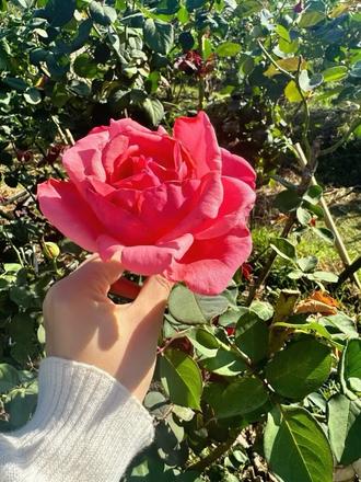 神仙能量水💦真每滴都是精华💧
一个视频教会你!
如何用出最好的效果🙋🏻♀️
#好物推荐 #三亚玫瑰谷 #名后 #强烈推荐 #美出高级感