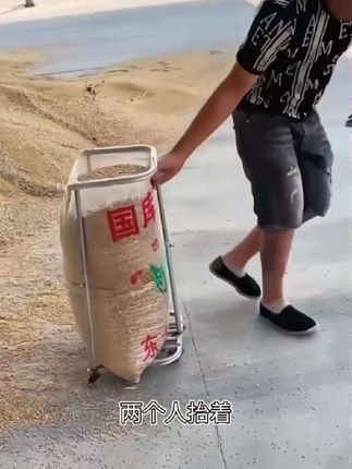 以前收粮食还要找个人专门撑袋子,现在用撑袋器收粮食,一个人轻松就完成#三农 #农具 #收粮撑袋器 #撑袋器
