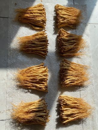 长白山人参精挑优选货 老板订购1000支出货🚚