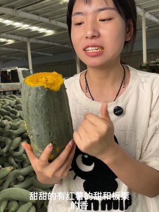 #软糯香甜 #农产品 #粗粮 #宝宝辅食 丑南瓜已经成熟了 现在下单新鲜采摘越放越好吃