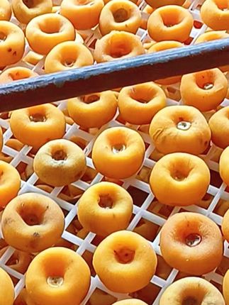 柿子红了,许你:柿柿如意,好柿连连,心想柿成!#柿饼 #柿饼制作 #柿饼柿饼