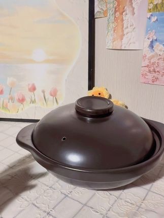 冬天里的一缕温暖 一定是砂锅给的#砂锅 #砂锅美食