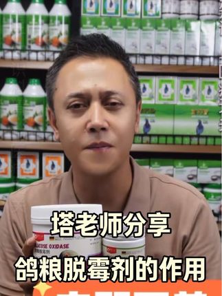#强烈推荐 #营养健康 #鸽子#赛鸽信鸽#塔老师