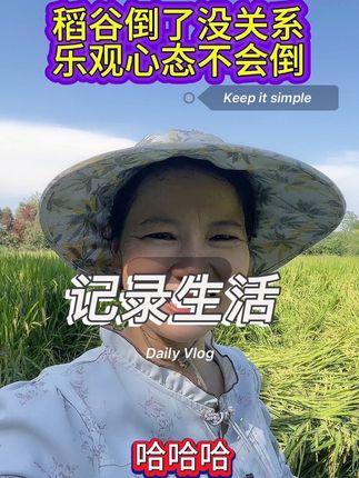 稻谷倒了 没关系,只要我还没有倒,一切都可以重新开始,种田就要种个好心态,土地虐我1000遍,我待土地如初恋。 #乡村守护人 #乡村味道 #农村生活 #农村美食 #三农 @抖音小助手