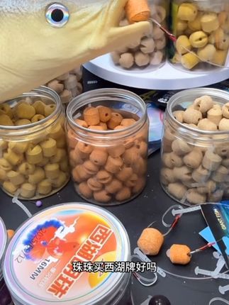 西湖明珠青鱼珠珠,专攻巨物,入口柔软,味型纯正,四季同沙,可重复使用,比一般猪猪用香精泡的效果更佳,不易变质,不易褪色,长久保存,方便快捷,#青鱼珠珠#珠珠钓鱼法技巧 #珠珠钓青鱼#黑坑青鱼#钓青鱼