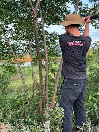 既能砍也能锯,加长手柄设计,握感舒适!干活不累效率还高!#锯子#高效工具#园林工具#农用工具#高性能实用工具