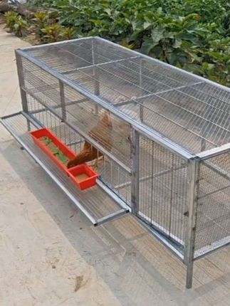 鸡笼子家用鸭鹅兔养殖加厚加密防鼠笼网片鸡笼兔子笼鸽笼户外大号#家禽养殖#鸡笼子