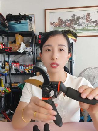 大开口SK5霸王龙修枝剪刀#粗枝剪 #修枝剪 #花枝修剪刀 #超便宜超划算