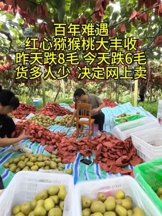 #创作灵感 #优质农产品 #抖音助农 #快来一起尝个鲜 #新农人计划