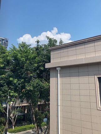 电动车雨棚防风夹电动三轮车雨棚弹力固定夹车篷布夹子固定松紧带__#三轮车雨棚防风夹子 #雨棚固定夹 #电动三轮车雨帘固定卡扣 #三轮车防风夹#送孩子上学