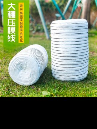 大棚压膜线白色压膜绳加厚加宽养殖场扁带防风塑料绳子大棚压膜绳#大棚压膜线#大棚压膜绳#大棚压膜带#大棚配件#大棚固定器