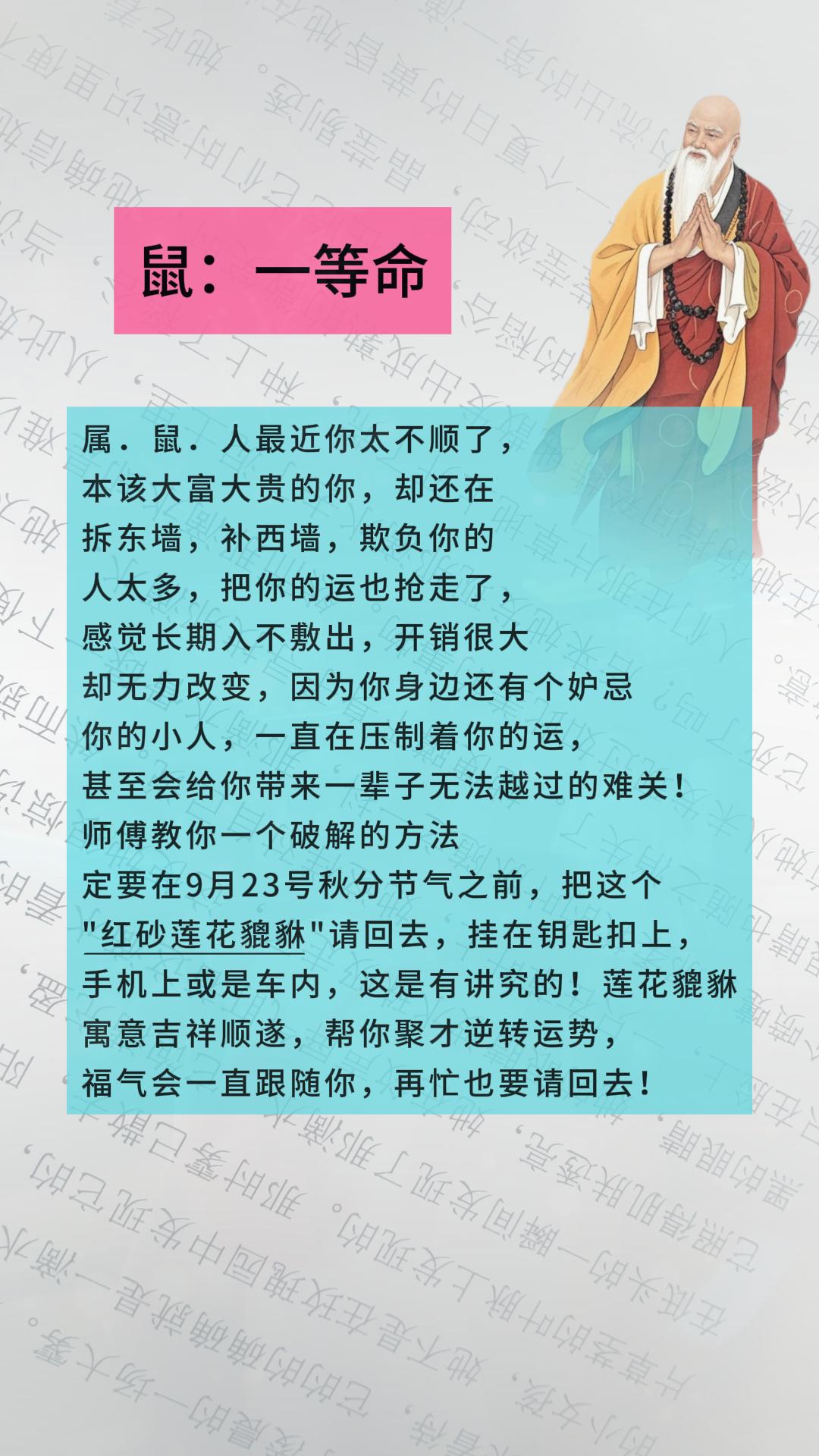 #鼠 #属鼠 #生肖鼠