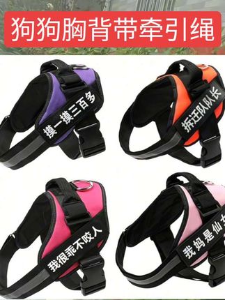 K9狗狗胸背带遛狗牵引绳金毛拉布拉多萨摩阿拉斯加中大型犬狗链子#狗狗胸背带#遛狗牵引绳#狗链子#萌宠出道计划#宠物用品