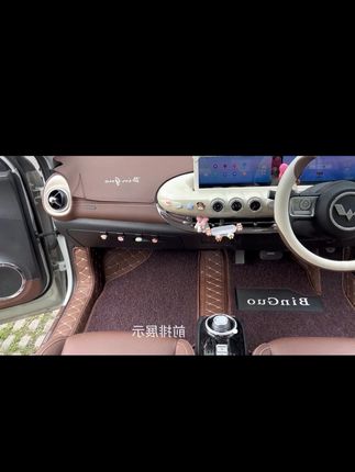 五菱缤果皮革脚垫改装缤果专用定制内饰全包围无异味防水丝圈脚垫#五菱缤果#汽车脚垫 #汽车装饰 #汽车好物