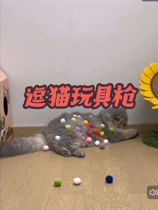 养毛孩子的乐趣这不就来了吗哈哈哈#逗猫神器 #猫玩具 #萌宠 #球球发射器