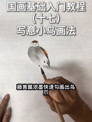 写意小鸟画法#零基础学画画 #想画就画 #跟我一起学画画 #画画 #写意国画