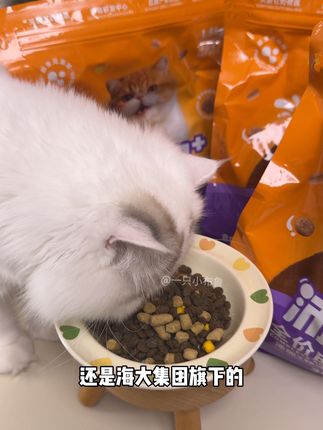 记得拍两件,第二件0元相当于买一送一,不过活动就这几天,养猫人赶紧薅!#猫粮 #猫粮推荐 #萌宠好物