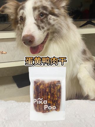 这个蛋黄鸭肉干也太好吃了#宠物零食 #萌宠出道计划 #狗零食 #萌宠好物 #狗狗