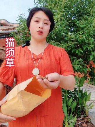 #猫须草 #丽梅爱分享 #短视频变现话题