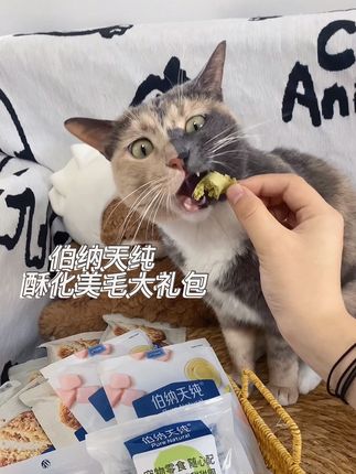 有猫粮有主食猫条还有排毛甜甜圈🍩 真的是应有尽有啦 #vlog日常 #强烈推荐 #种草 #伯纳天纯 #宠物吃货