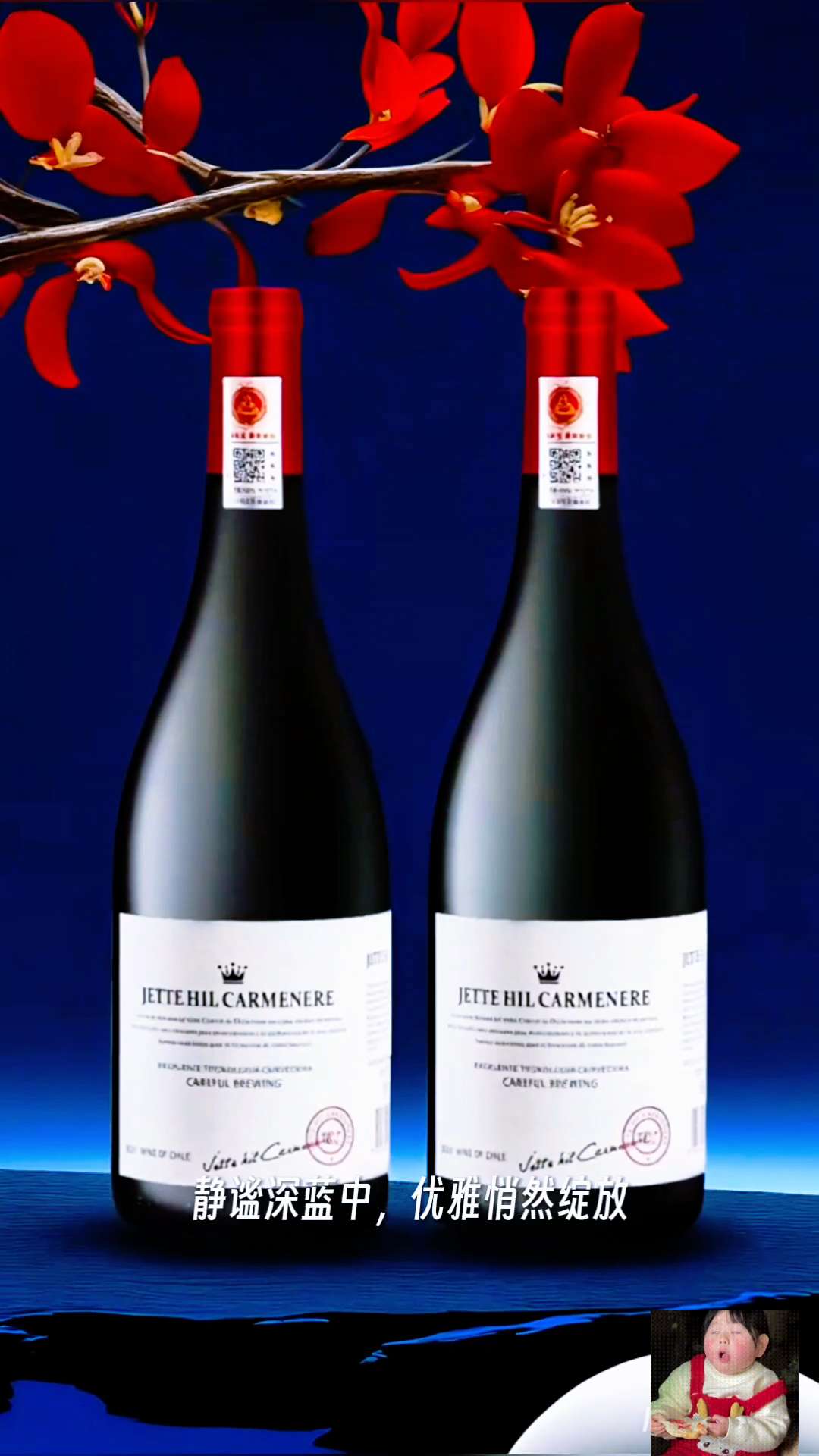 智利干红葡萄酒。#传统文化 #文化传承 #葡萄酒#红酒#品酒生活