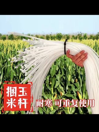 #玉米秸秆扎带