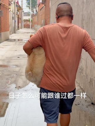 阿祖:日子怎么可能跟谁过都一样 #长毛法斗阿祖#阿祖宇宙@90后养狗人(祖爸) @阿祖宇宙