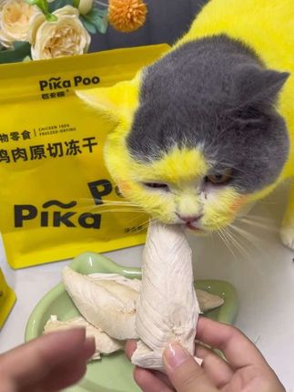 原切鸡胸肉冻干小猫嘎嘎炫#吃货猫咪 #养猫新手 #萌宠好物