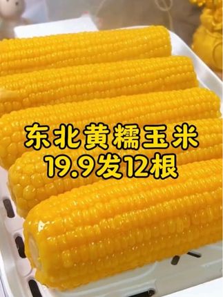 19.9到手12根,而且还都是大棒#东北黄糯玉米 又大又甜又香糯#糯玉米的营养价值#软糯香甜 大人小孩都爱吃,太香了#哇又便宜又好吃 #粗粮
