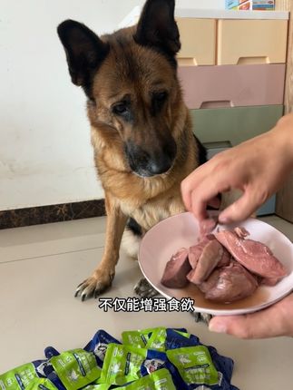 蒸煮鱼油鸭胸肉,都是精瘦肉,高蛋白低脂肪,猫狗都能吃!#萌宠好物 #科学养宠攻略 #养狗人 #养狗经验分享