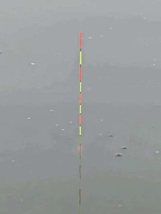 #精品主线组 #中西钓具成品主线 #中西钓具 #主线组 #成品主线组