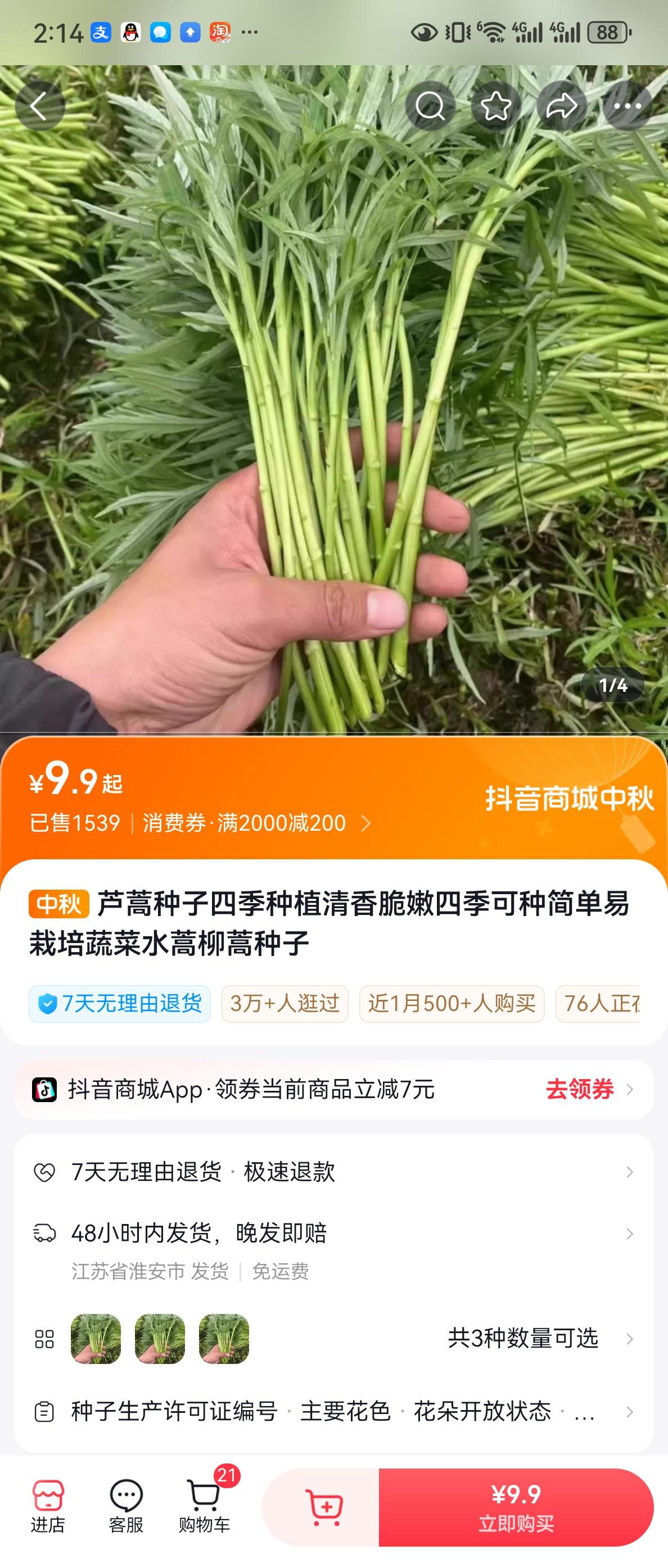 今年秋天快来种上这个#芦蒿种子 好吃美味 营养丰富!