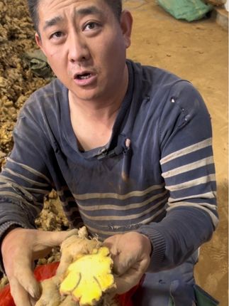 云南小黄姜#大自然的馈赠 #家乡特产 #优质农产品