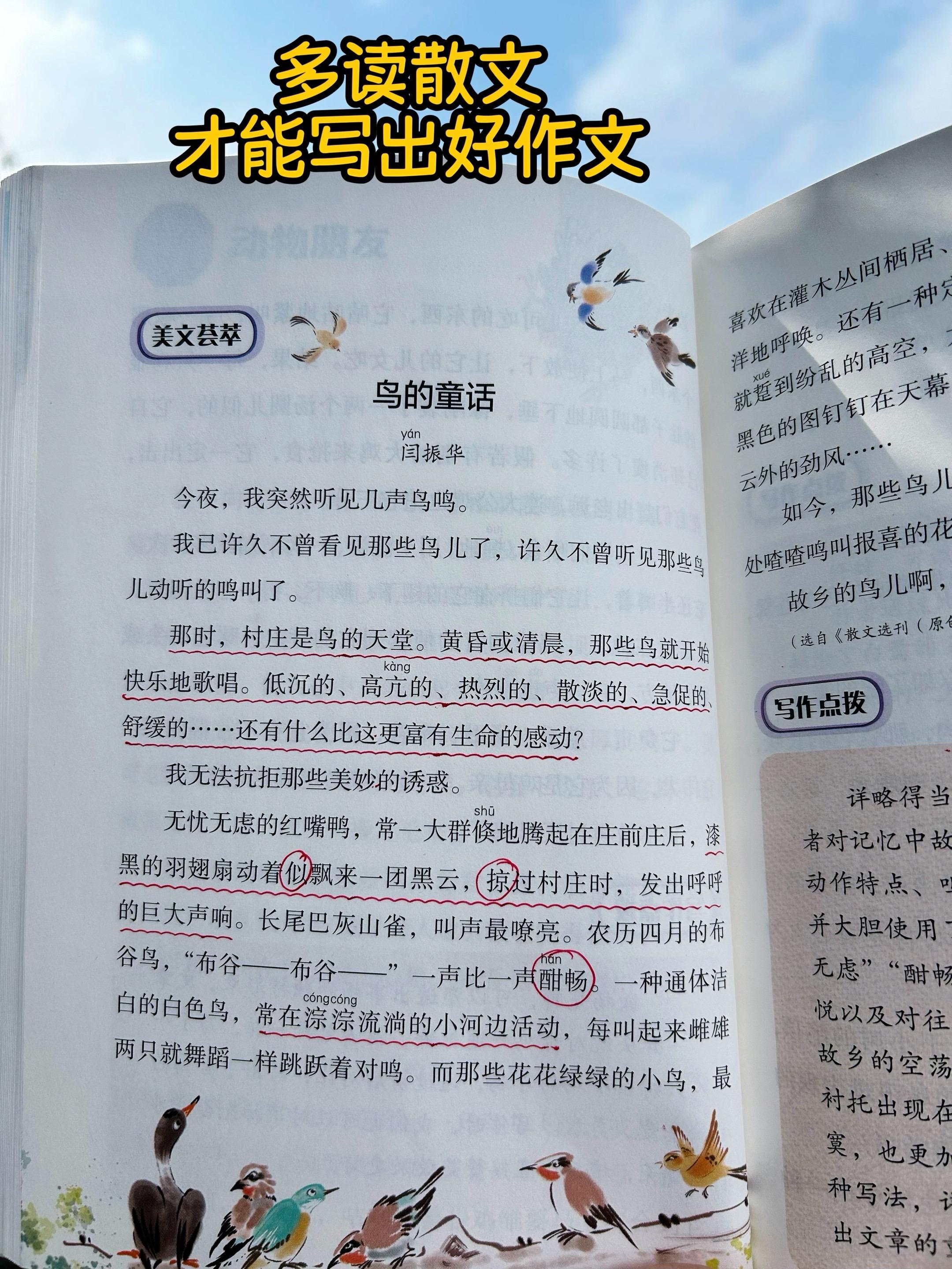 孩子上三年级了,要多读名家散文!多读名家散文,品文字之美,书中每篇佳作都是写作的灵感源泉,多读多记多悟,提升写作技巧,积累写作素材,让文章绽放光彩!#作文素材 #散文 #课外阅读 #图文热点来了 #好书分享
