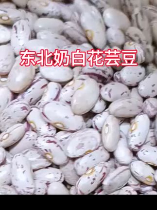 #东北奶白花芸豆