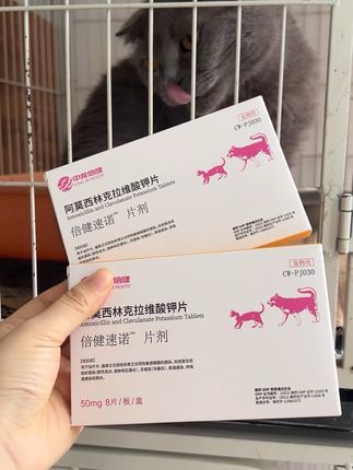 #速诺消炎药 #猫咪 #狗狗 #养宠进阶指南 #好物推荐🔥