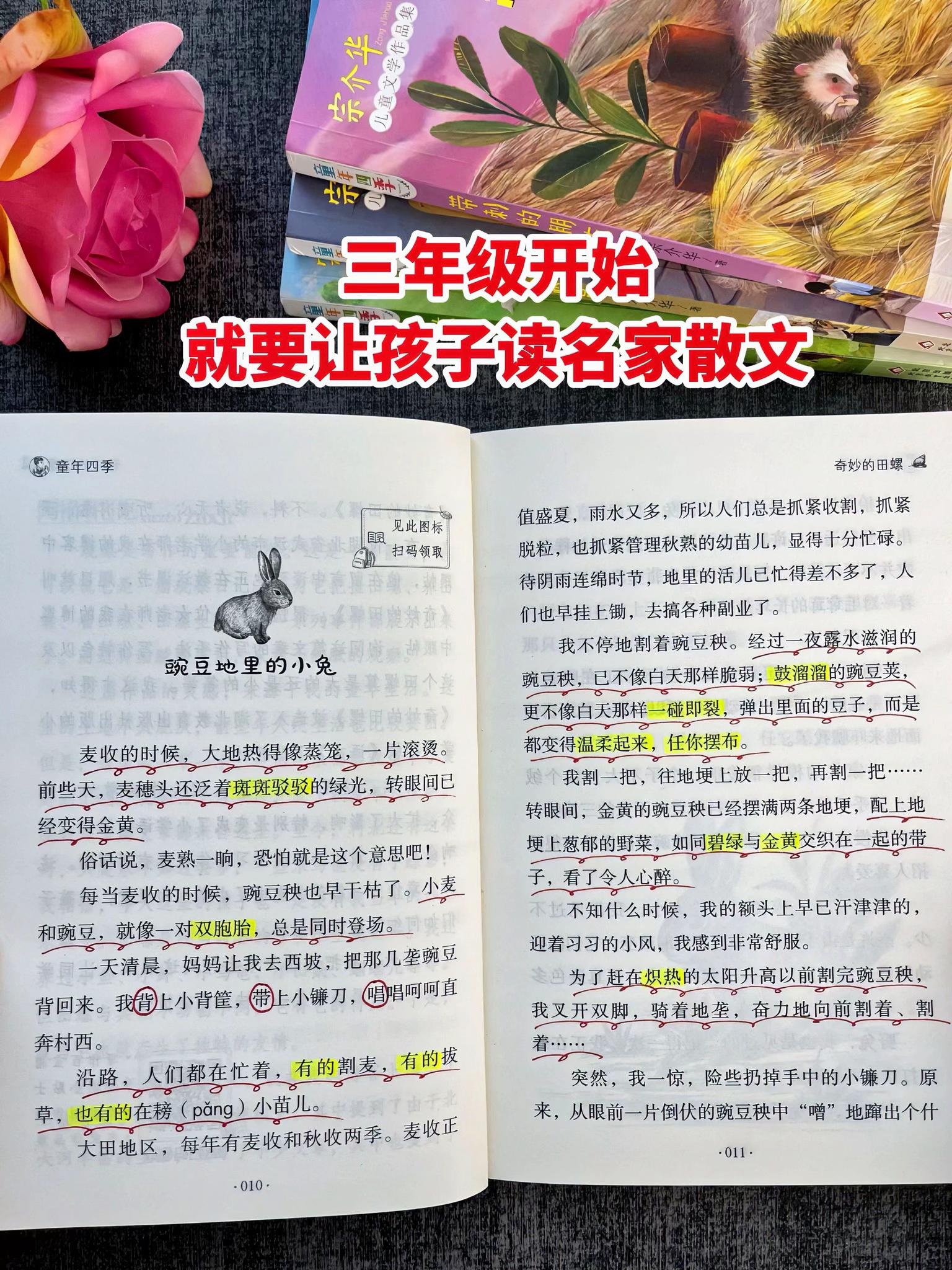 三年级开始,孩子要多读名家散文,深入感受文字的魅力✨书中的每篇佳作都是写作的灵感源泉,多读多悟多积累,提升写作技巧,轻松写出好文章!!#作文素材#写作素材#学霸秘籍#好书分享#让阅读成为一种习惯