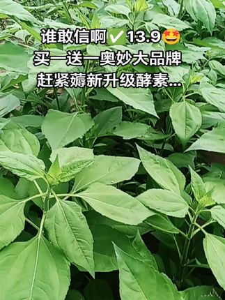 #洗衣液 #洗衣液推荐 #洗衣液持久留香 #洗衣液 #生活好物