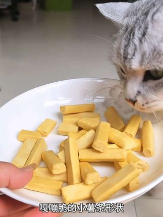 宠物零食冻干鱼油夹心小薯条猫咪零食磨牙解馋 #萌宠好物 #猫零食 #冻干 #吃货猫 #新手养猫