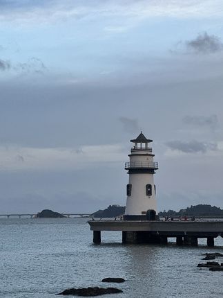 飞机高铁都能整!能少抽一根是一根#亲测分享