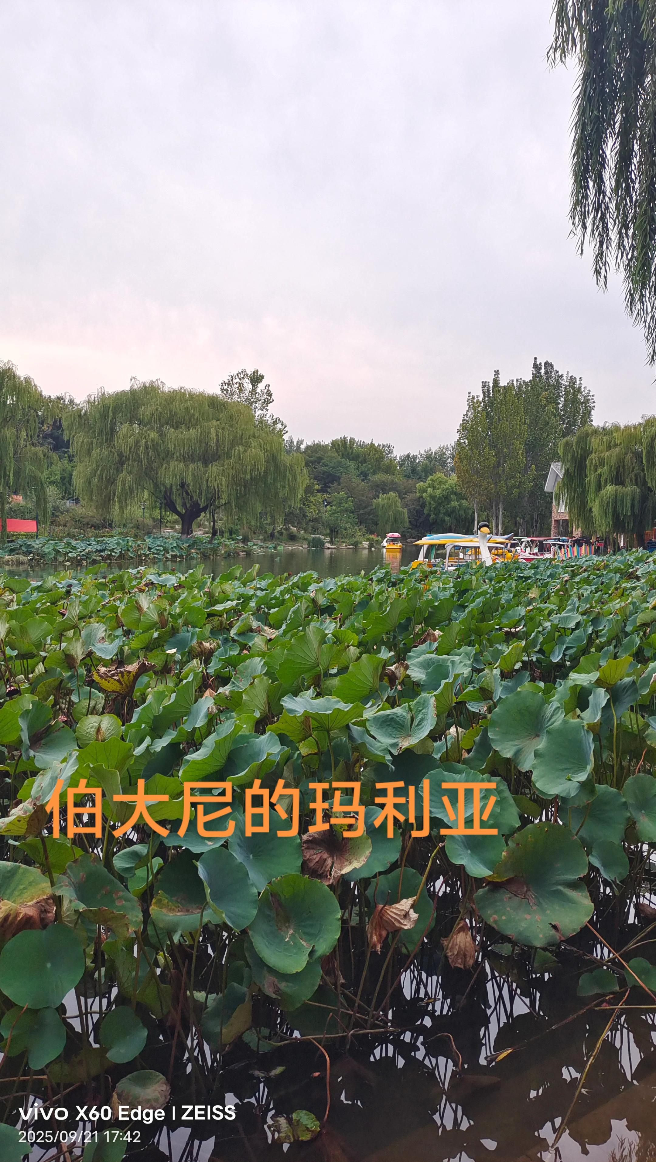 #大自然的馈赠