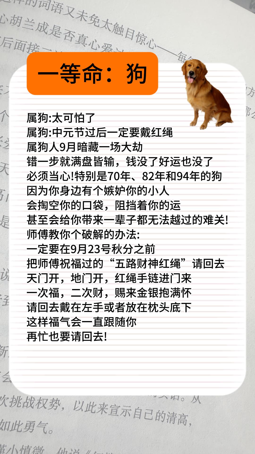 #1970年的狗 #1982年的狗 #1994年的狗