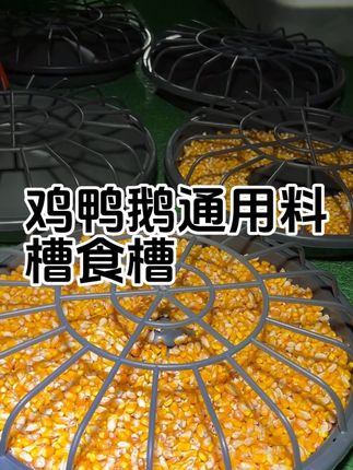鸡食槽鸡料槽 #鸡食槽#鸡料槽#鸡槽#鹅食槽#鸭食槽 产品直径四十厘米,孔位二十个。塑料牛津材质