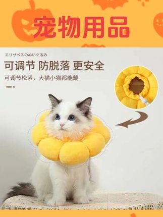 #宠物用品 瓜洲牧伊丽莎白圈猫绝育项圈防舔英短猫咪脖圈颈圈头套狗宠物用品#宠物用品推荐