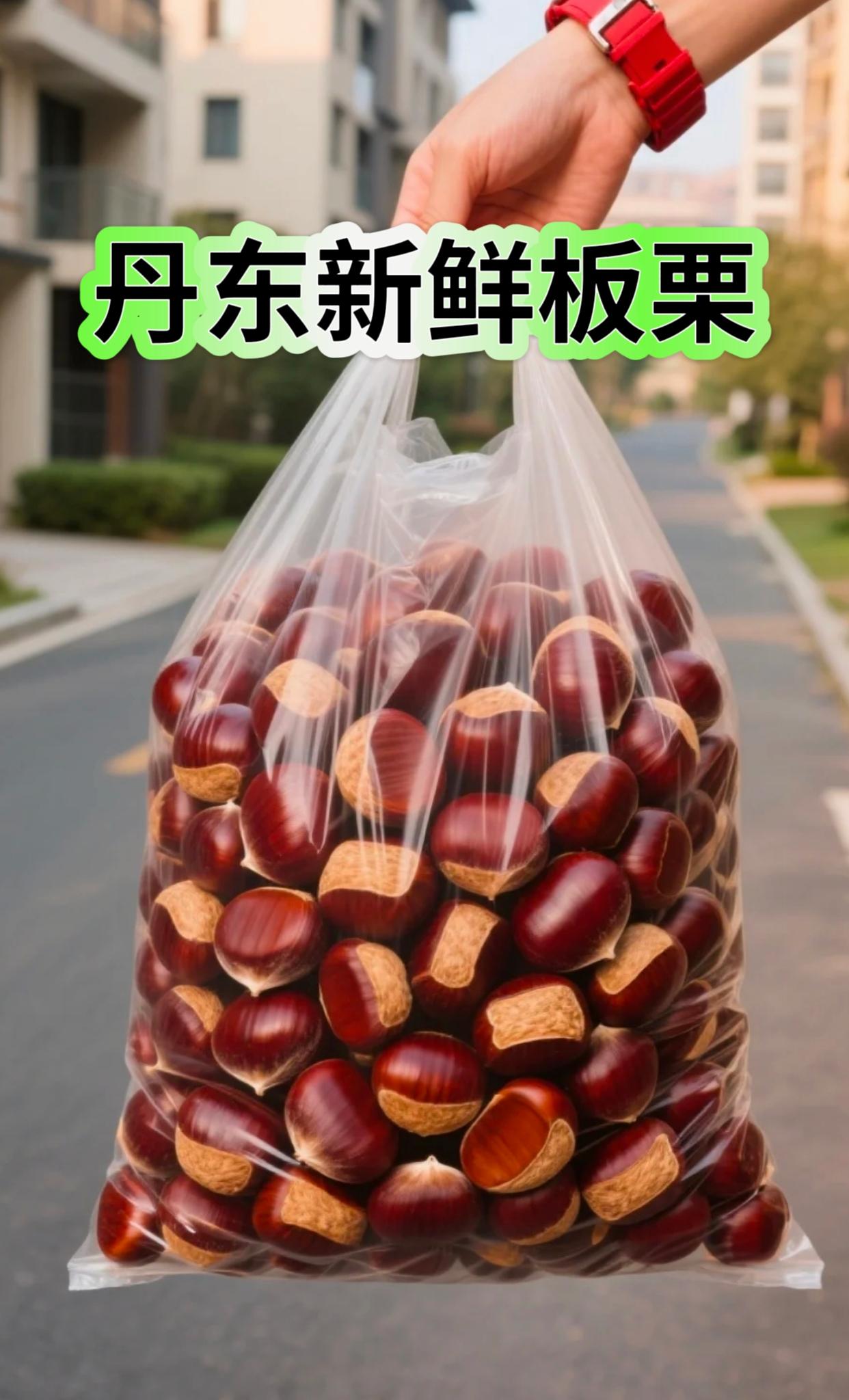 刚从丹东山野里摘来的板栗,带着晨露的鲜气~ 外壳蹭亮,剥开就是饱满的金黄果肉,粉糯香甜直冲天灵盖! 秋天的第一口新鲜,必须给它留位置呀~#板栗 #丹东板栗 #板栗的神仙吃法 #优质农产品 #快来一起尝个鲜