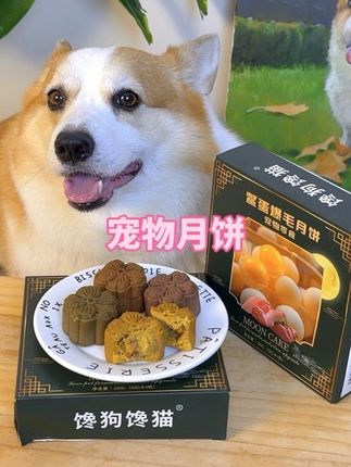 今年你给毛孩子准备中秋月饼了吗?#抖in萌宠计划 #宠物月饼 #宠物零食