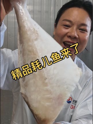 #冠磊 #冠磊耗儿鱼