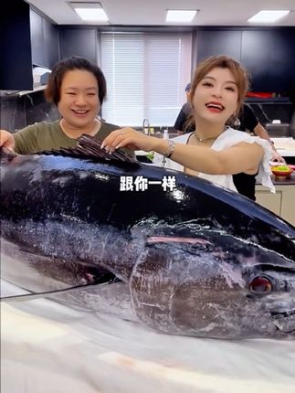 海鲜老板娘档口一个月的营业额是多少?#海鲜美食#嘉之派虾肠#抖音美食推荐官 #虾肠#来驾啊