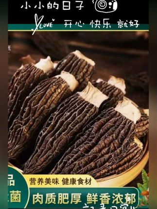 【达人专属】4-6cm精品高山头茬羊肚菌干货 肉质饱满 营养佳品 #视频同款点击购买好货