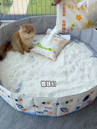 厂家直销,相比其他木薯砂可不止便宜一星半点,刷到还有货的赶紧囤起来#萌宠 #猫砂测评 #养猫新手 #萌宠好物 #宠物用品